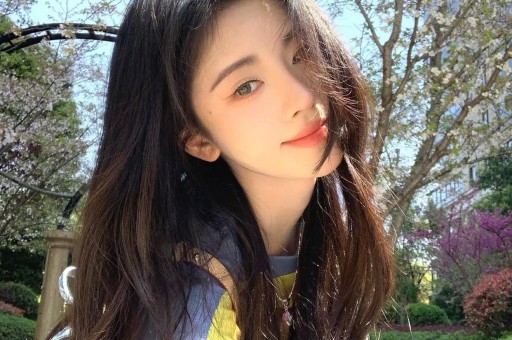 在小红书  娱乐营销的含金量仍在上升